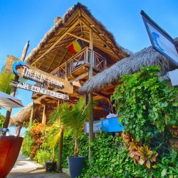 Morpho Mariposario Puerto Vallarta