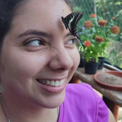 Morpho Mariposario Puerto Vallarta